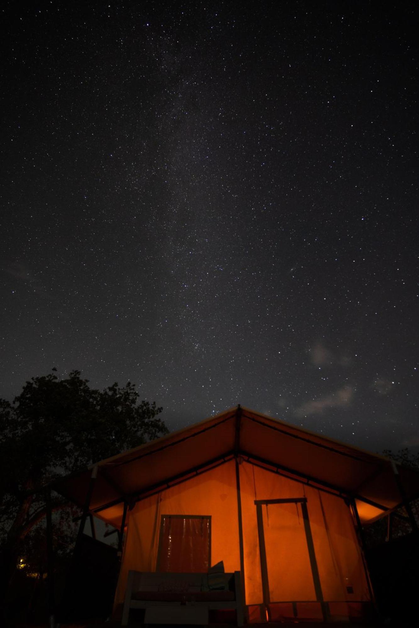 Eco Glamping Portugal Nature Lodge São Luís Exterior foto